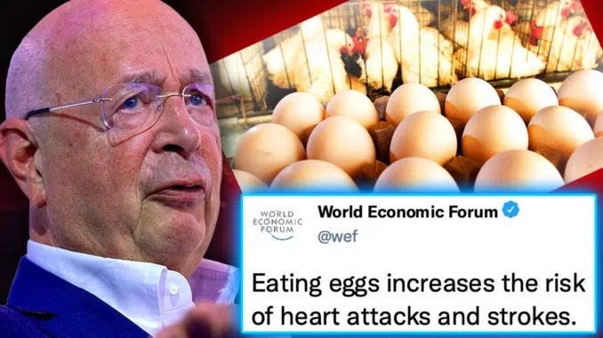 WEF Vows to BAN ‘Dangerous’ Eggs After Study Finds They Cure COVID Naturally