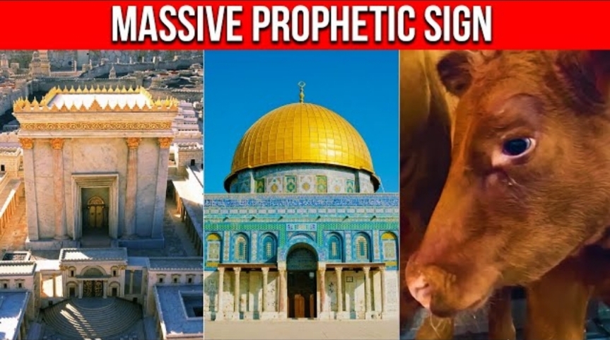 “Everything is in Place” THEY’RE READY!! Third Temple Update 2023